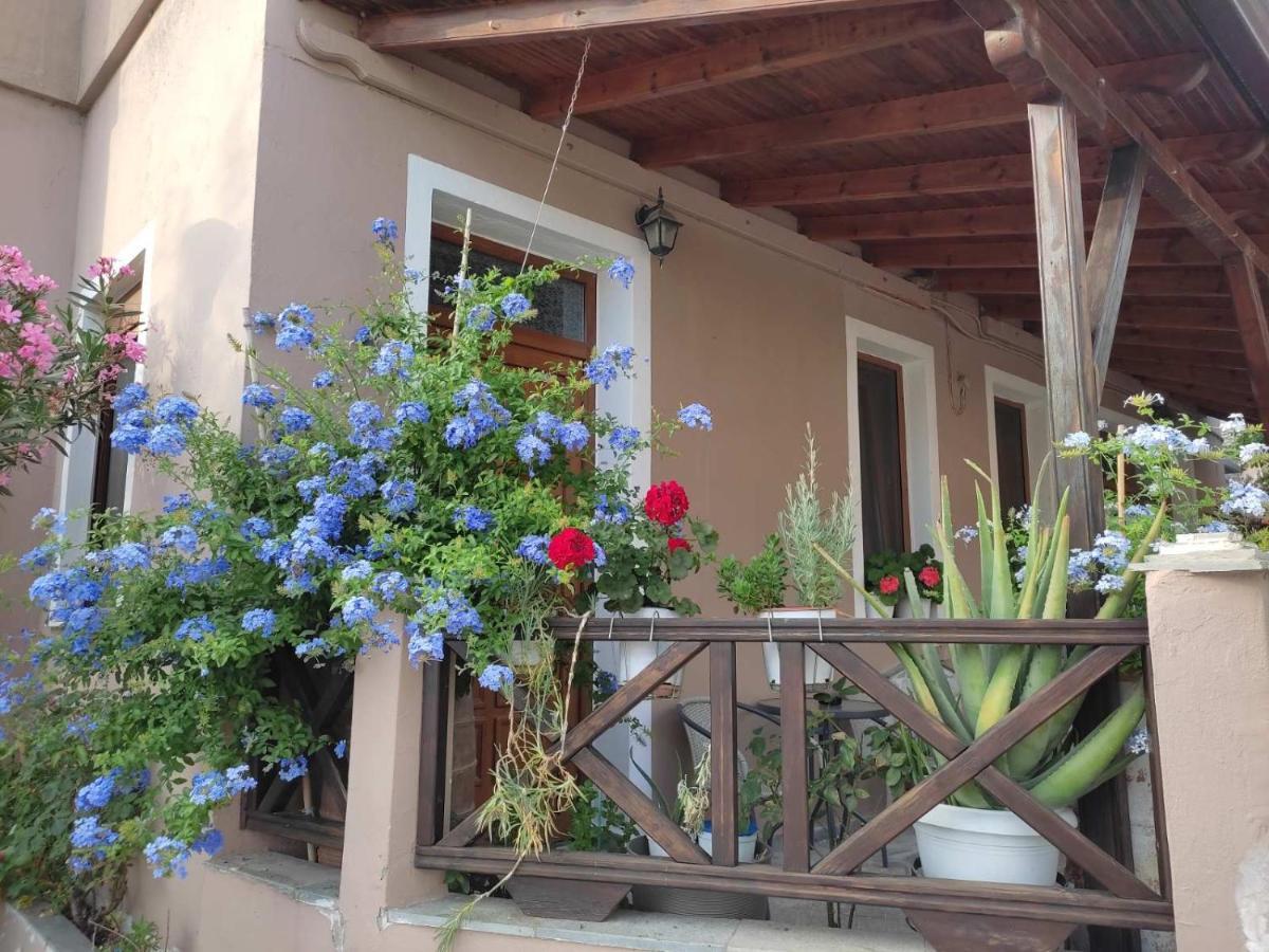 Plumbago Apartment Theologos  Bagian luar foto